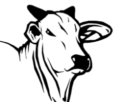 0512526607c37b3565bdefebdde12cb5.png