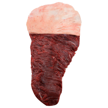 FRALDA_2.png