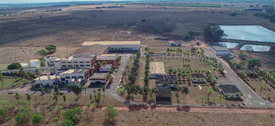 GOLDEN MATO GROSSO DO SUL.jpeg